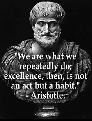 Aristotle on excellence.png