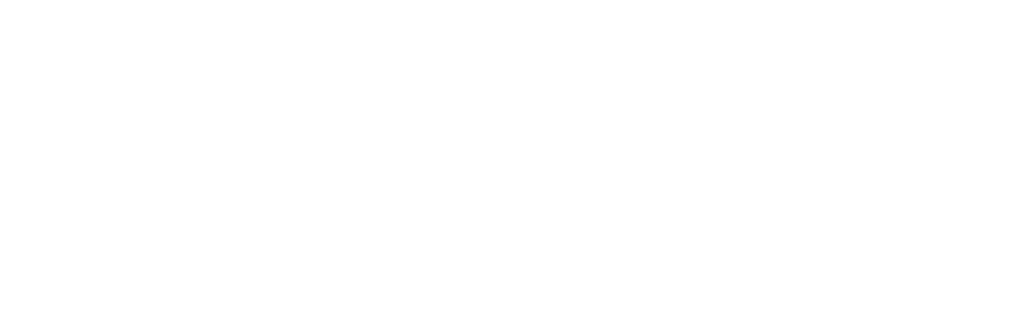 Full Logo - White - The Stonewall Group