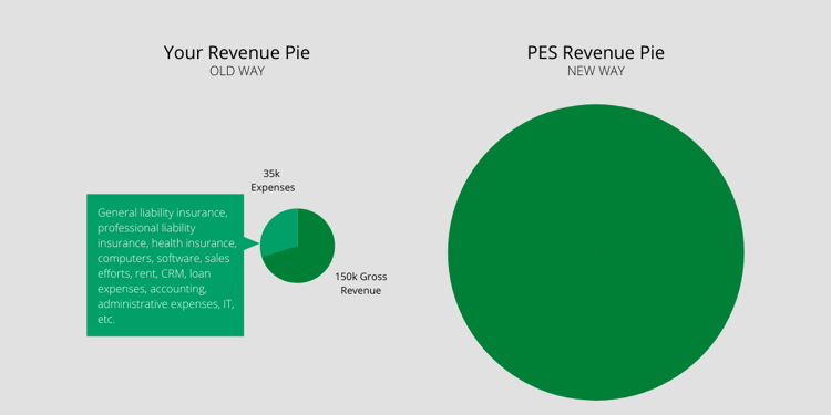PES Revenue Pie (10)