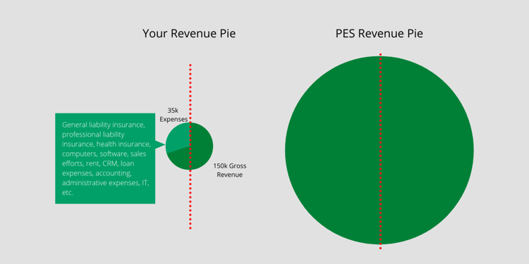 PES Revenue Pie (11)