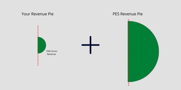 PES Revenue Pie (12)