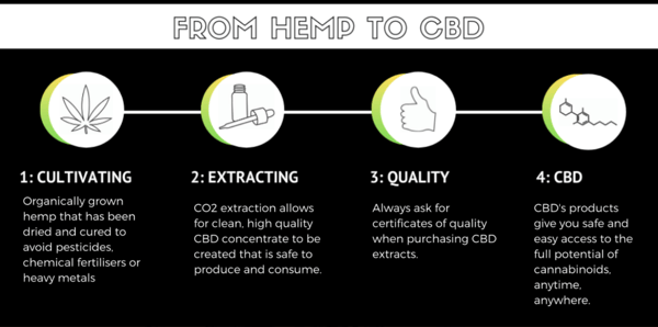 Four main phases in the CBD manufacturing process | Stonewall Engineering