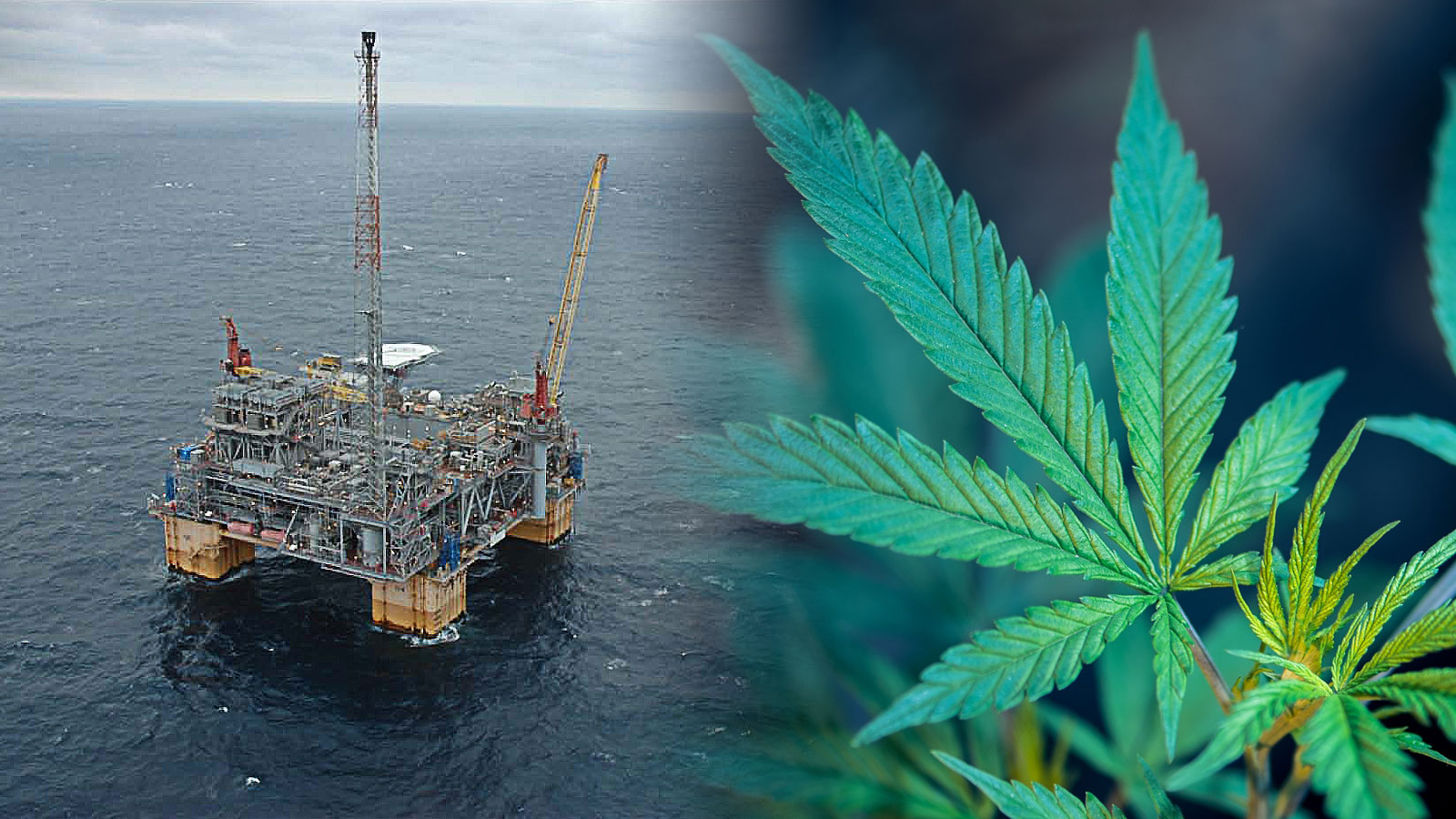 How The Hemp Industry Could Save Louisiana's Oil and Gas Sector | Stonewall Engineering